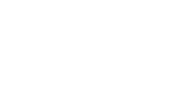 FAN HD