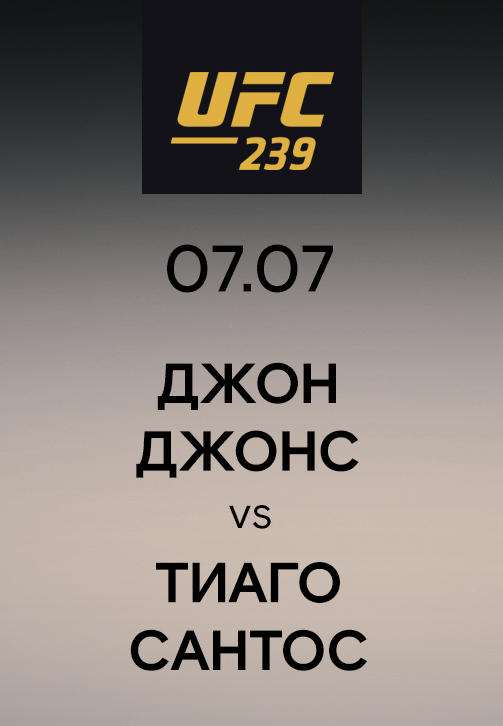 Постер к сериалу Джон Джонс vs Тиаго Сантос 2019